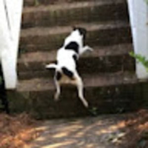 Meet your Posher, Abbey foreman